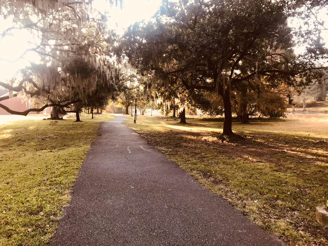 walking near me in New Iberia City Park in winter
