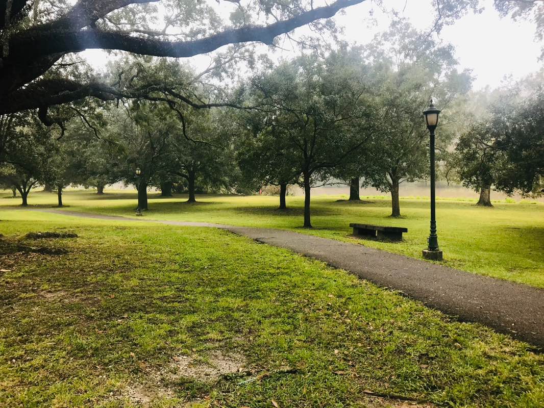 walking near me in New Iberia City Park in summer