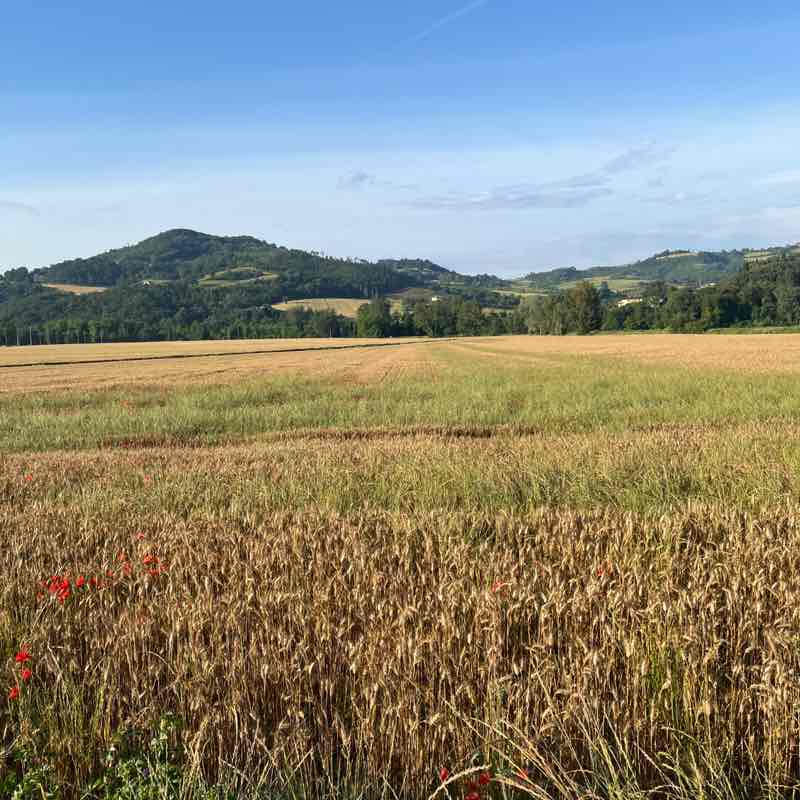 nadiafiorucci1956 post 1