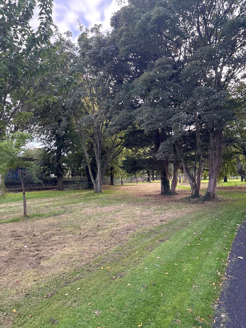 walking near me in Ringsend Park in autumn