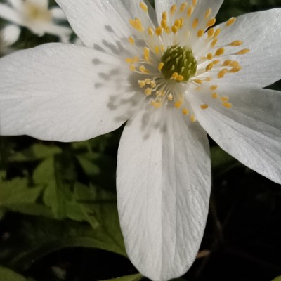 ЛИГА-25 ЛИГА-25 post image