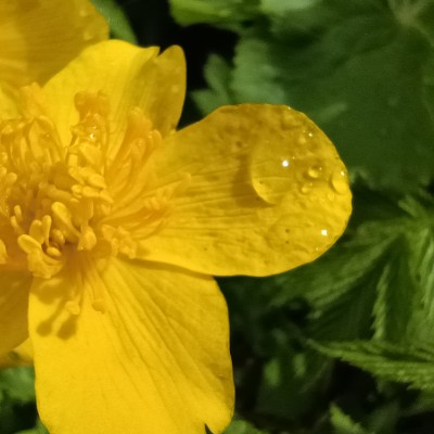 ЛИГА-25 Евгений Н. post image