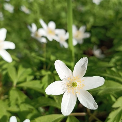 ЛИГА-25 ЛИГА-25 post image