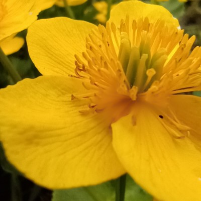 ЛИГА-25 Евгений Н. post image