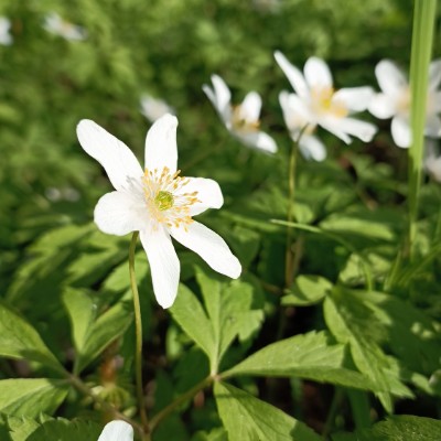 ЛИГА-25 ЛИГА-25 post image