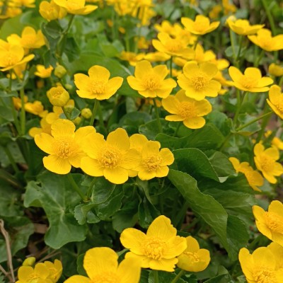 ЛИГА-25 Евгений Н. post image