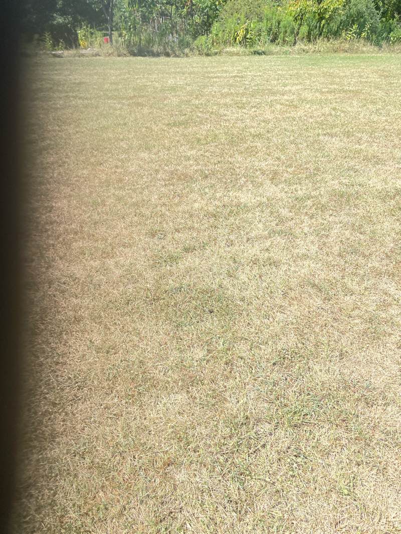 walking near me in Community Park in autumn