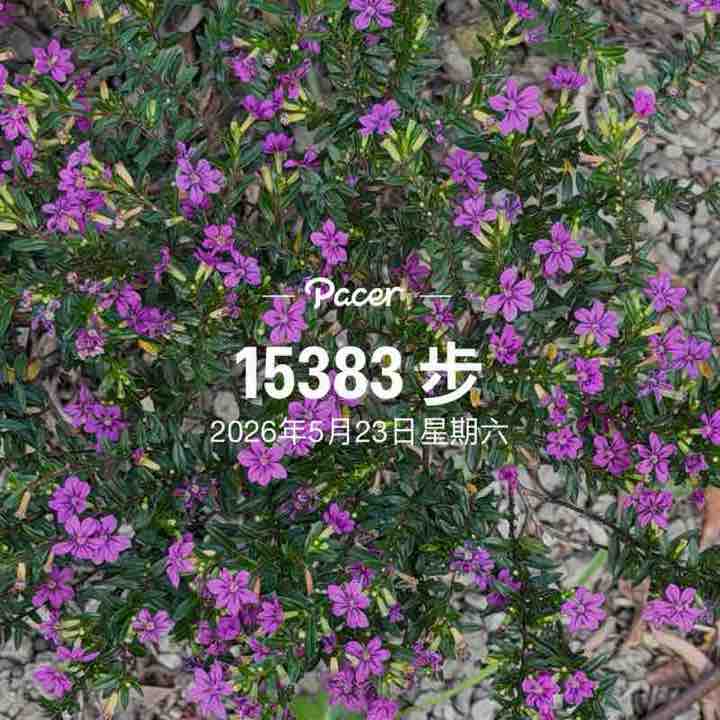 yesavalu163 post 1