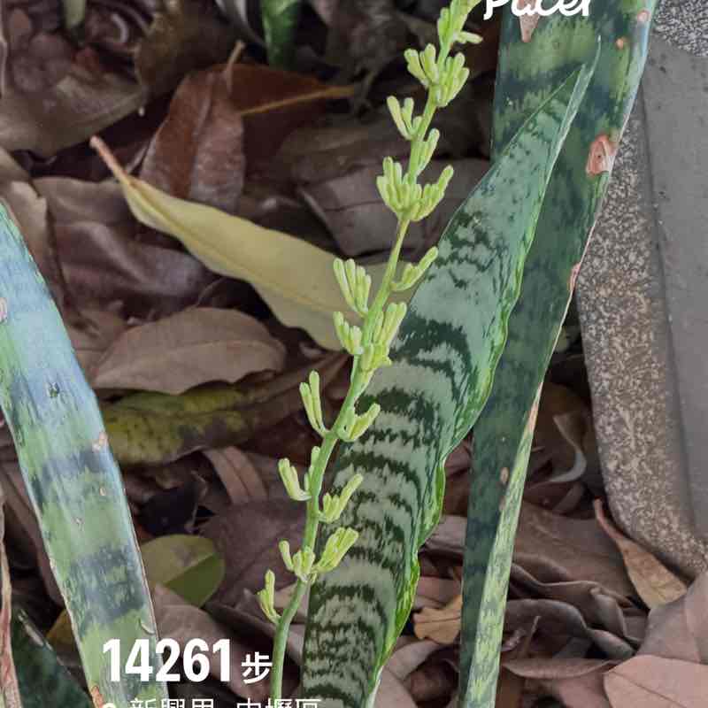 yesavalu163 post 1