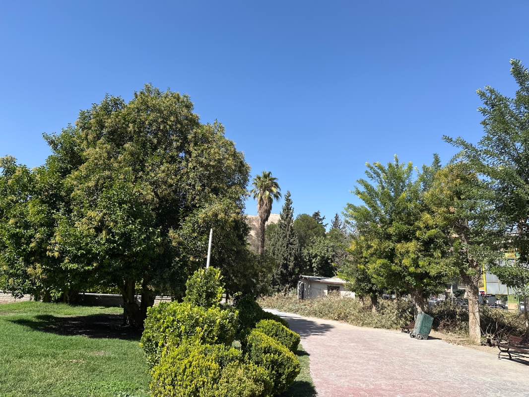 walking near me in Zaki Al Arsouzi Park in autumn