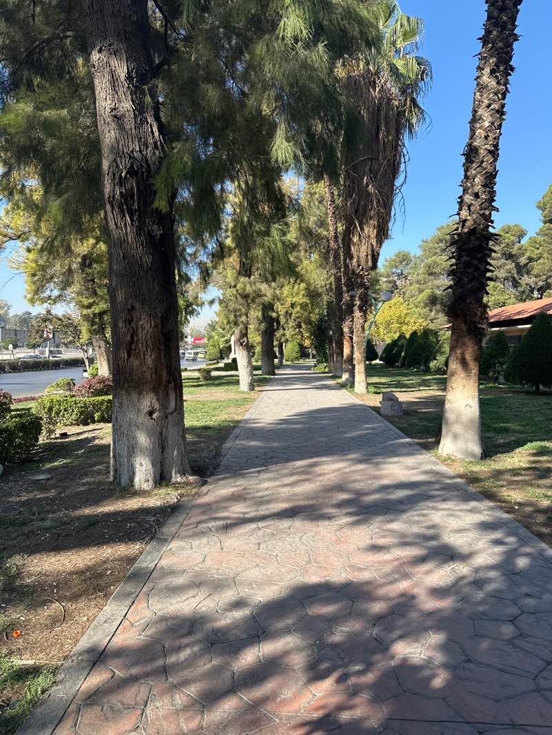 walking near me in حديقة قصر الضيافة in autumn