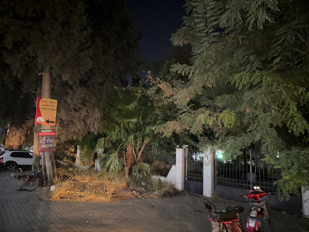 walking near me in حديقة تشرين in autumn