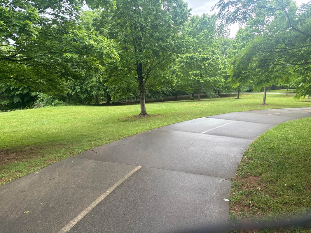 walking near me in Freedom Park in spring