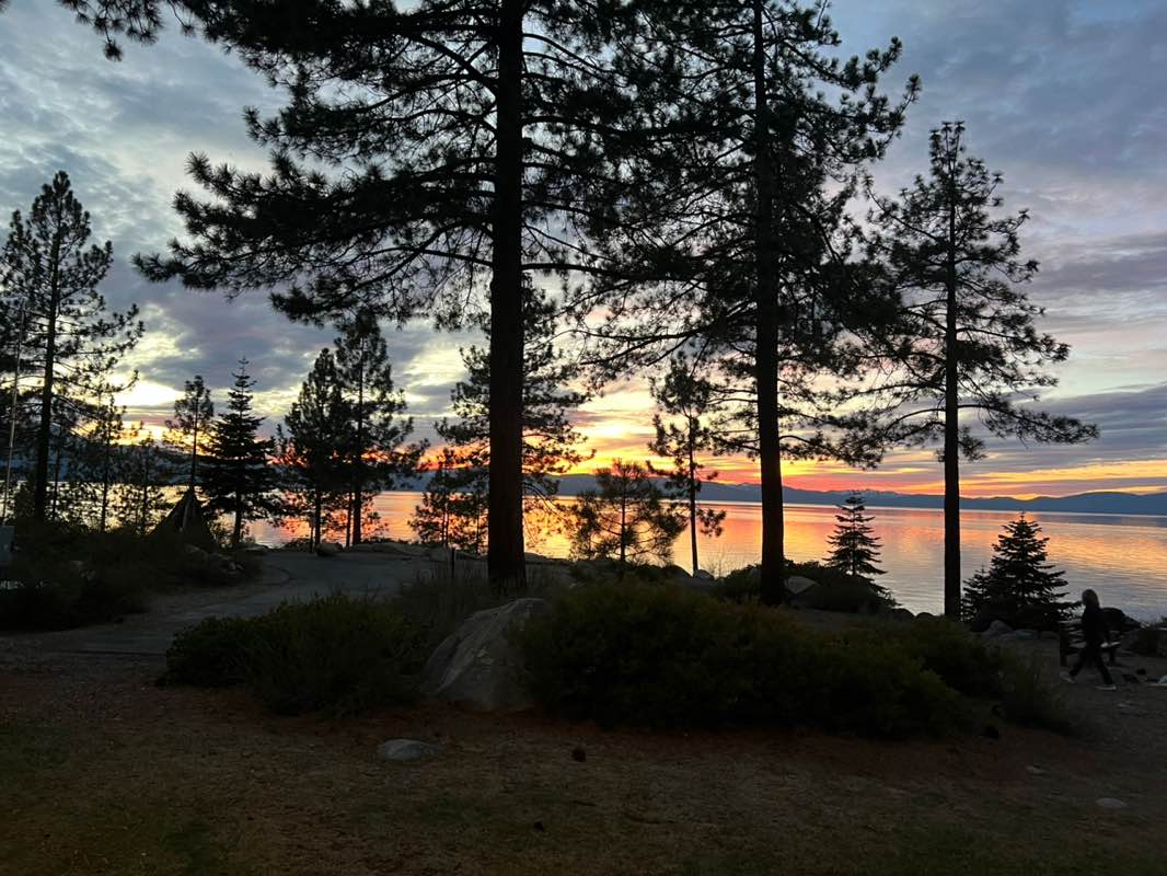 Plstockwell 🏒🎨🧵❌🪡💠 icon