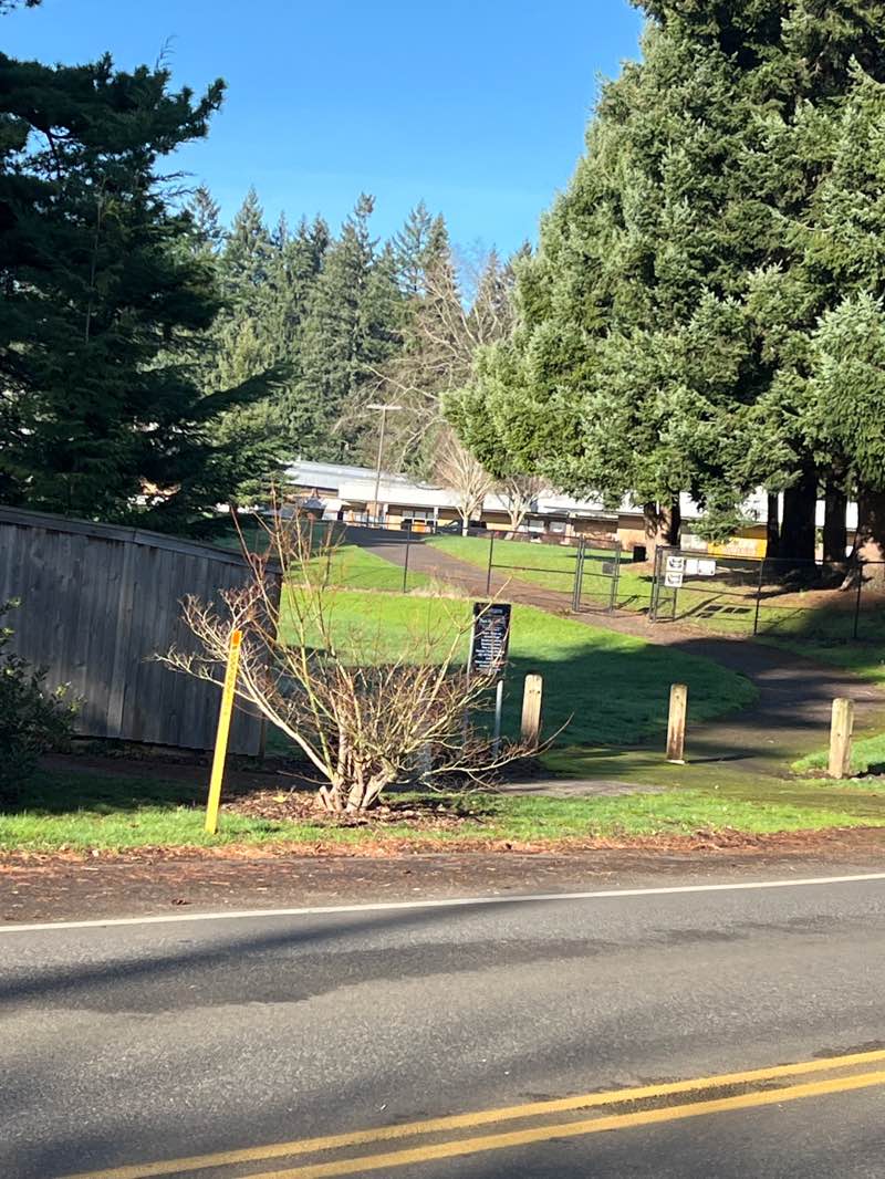 walking near me in Pleasant Valley Park in winter
