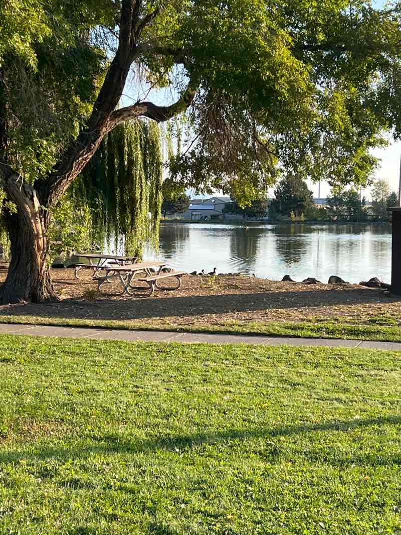 walking near me in Fireman's Pond in autumn