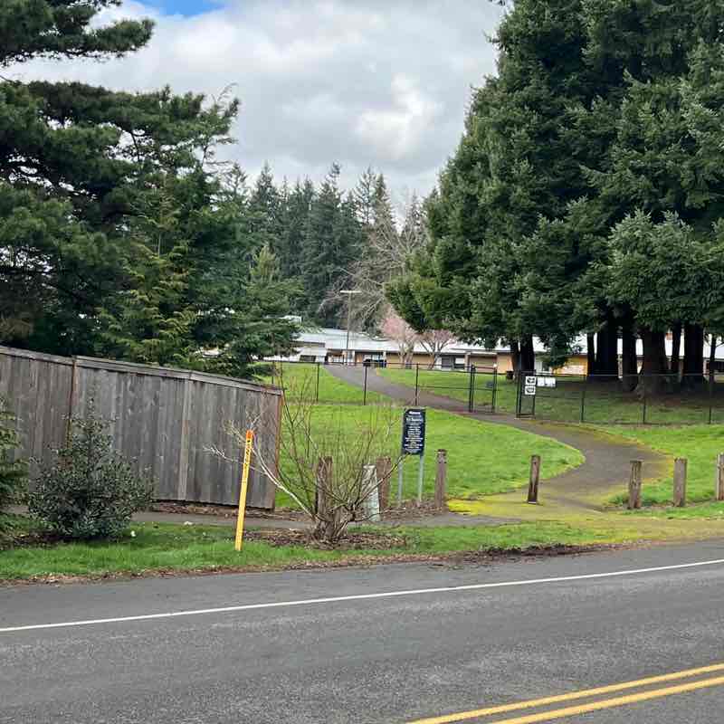 Plstockwell 🇺🇸🏒⚽️🪡💠 post 1