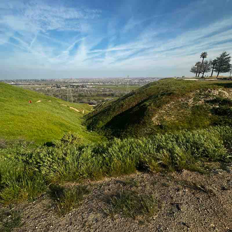 sillybearsmom post 1