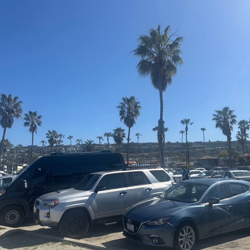 sillybearsmom post 2