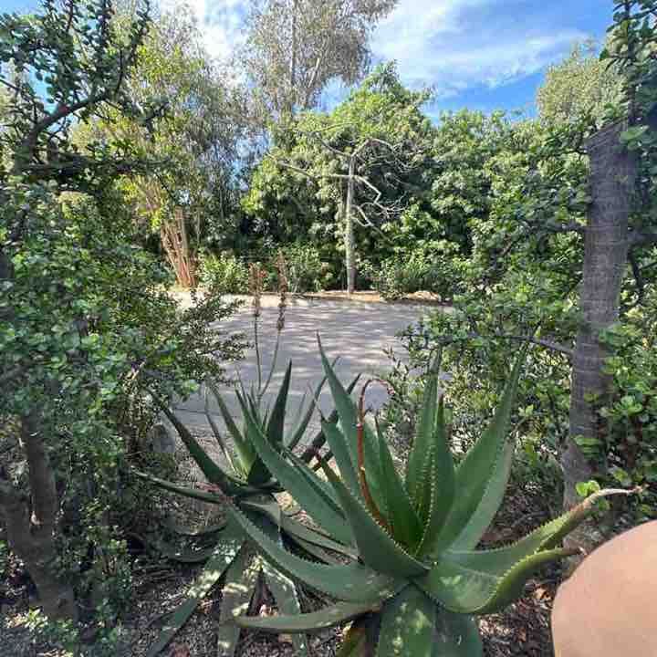 sillybearsmom post 1