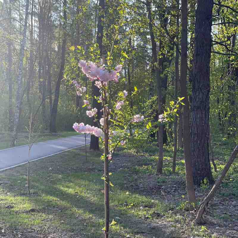 😍BEAUTIFUL NATURE😍 Нюся_1974 post image