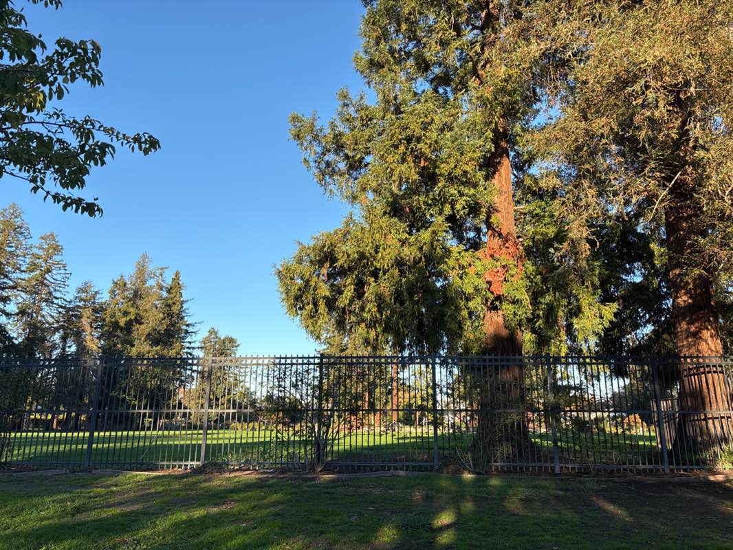 walking near me in Municipal Rose Garden in autumn