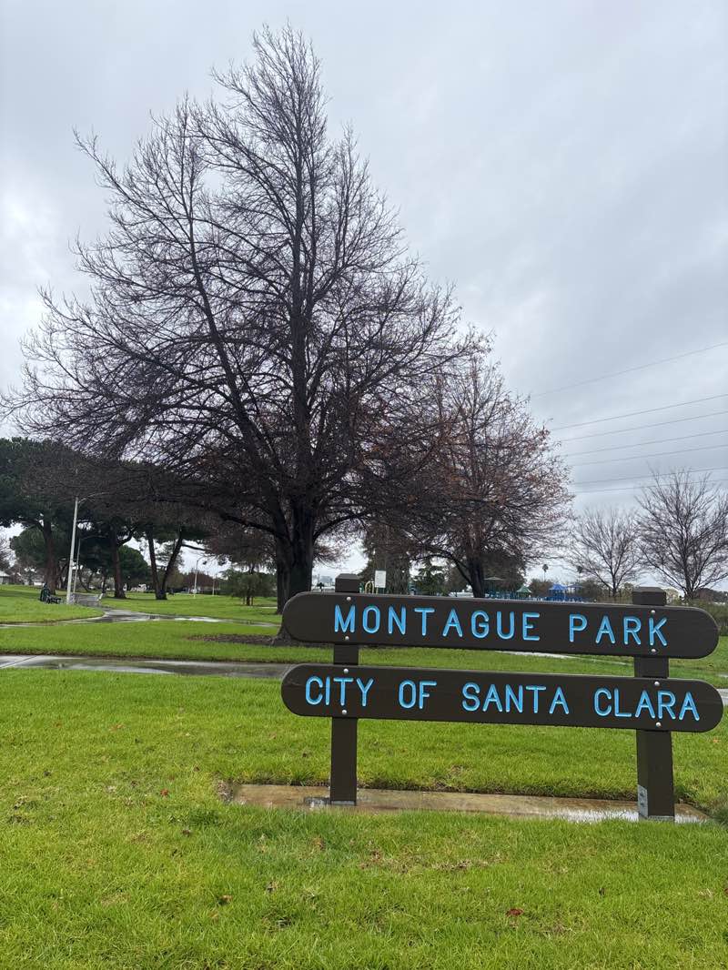 walking near me in Montague Park in winter