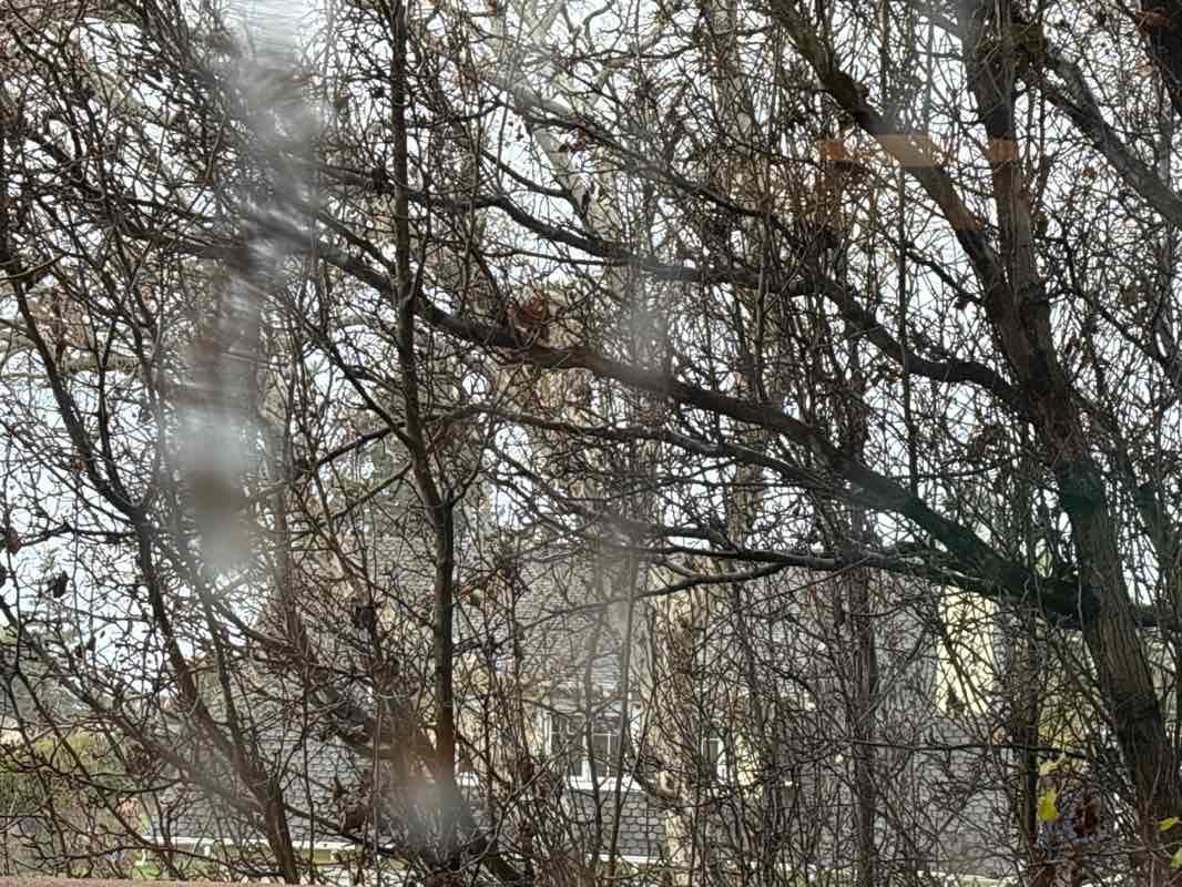 walking near me in Municipal Rose Garden in winter