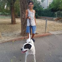 Riccardo profile