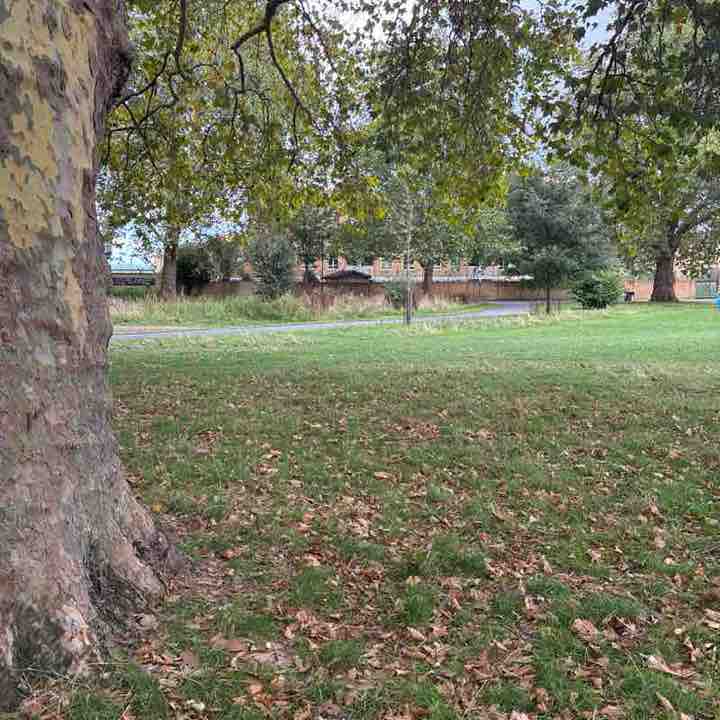 PacerGal_1985 post 1