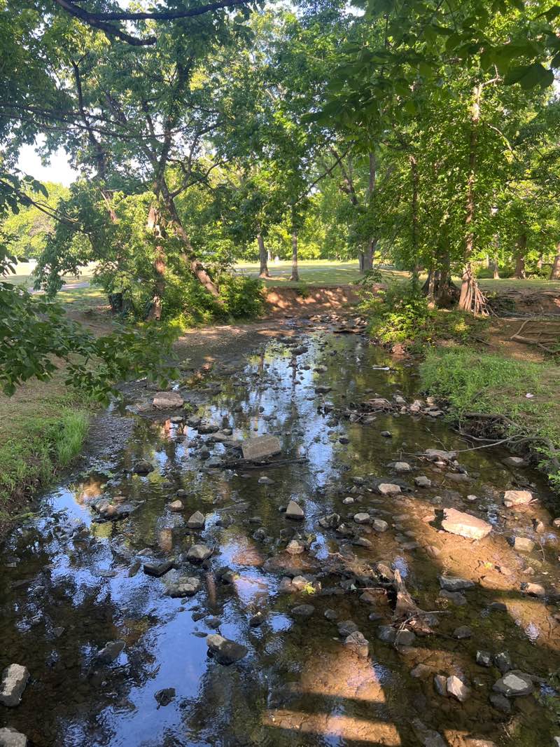 walking near me in Drakes Creek Park in spring
