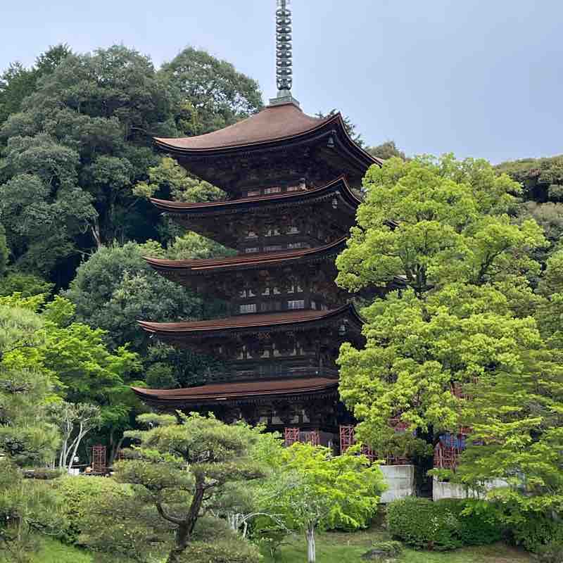 えりピコ Ellie toshihide post image