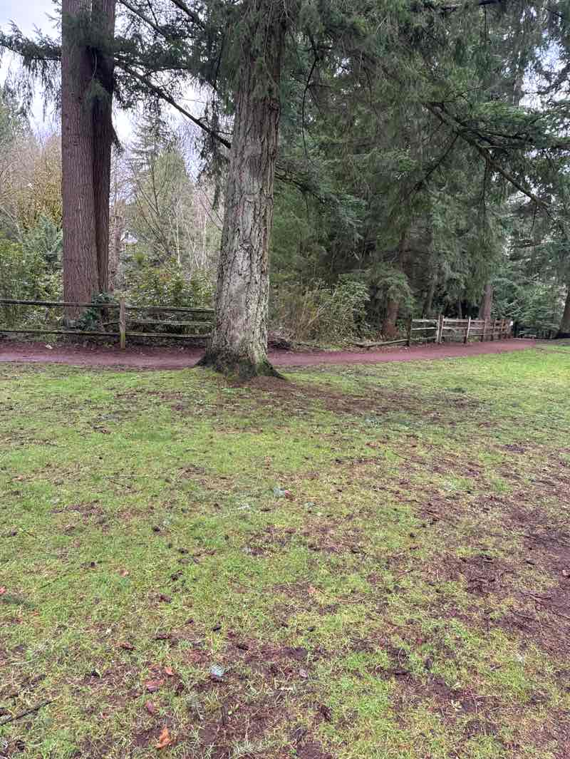 walking near me in Animal Acres Park in winter