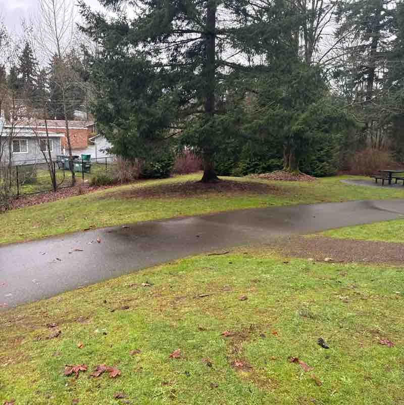 PacerGuy_1951 post 1