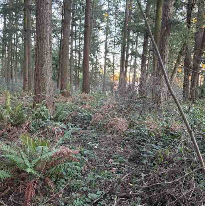 PacerGuy_1951 post 1