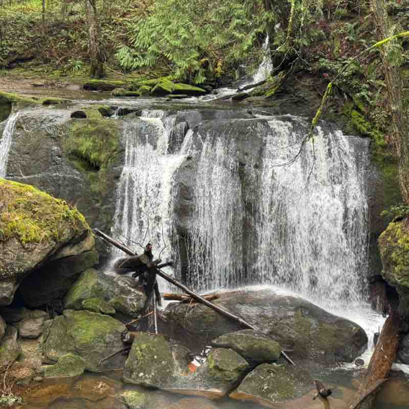 PacerGal_1966 post 1