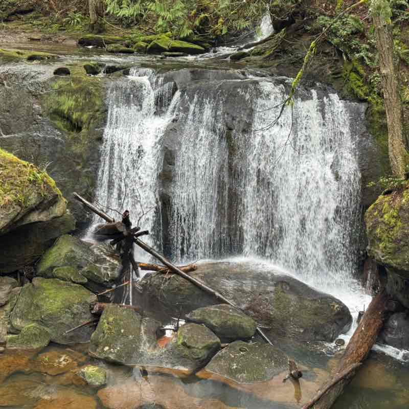 PacerGal_1966 post 1