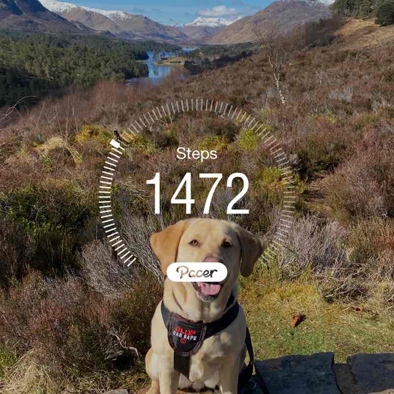 MandyJEveritt post 1