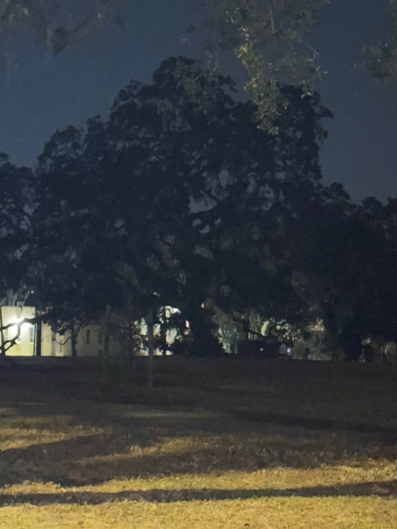 walking near me in Rivercrest Park in autumn