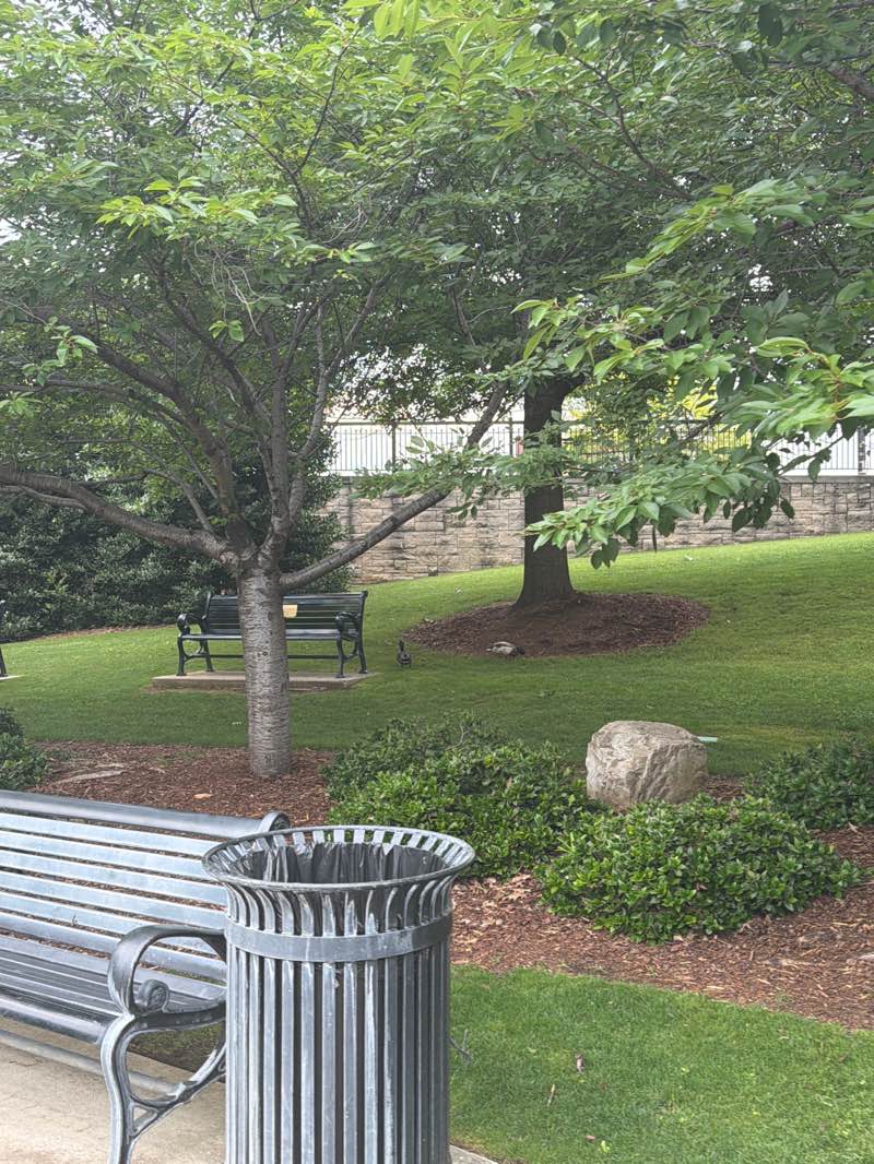 walking near me in Big Spring Park in summer