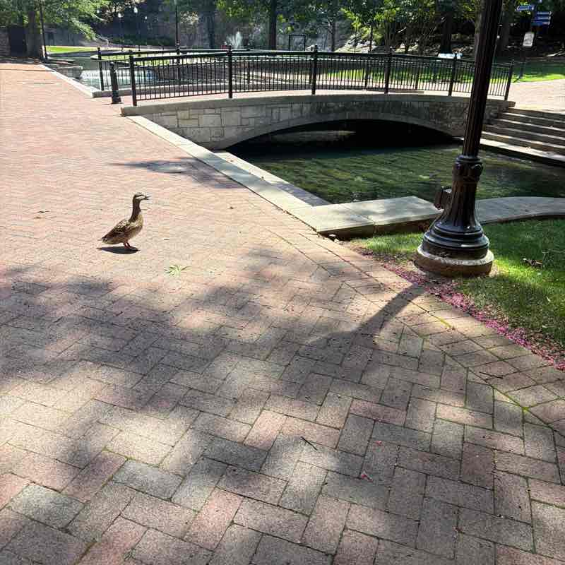 Kevin post 1