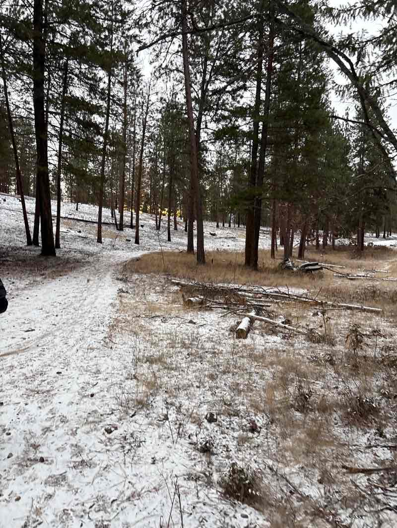 walking near me in Knox Mountain Park in winter