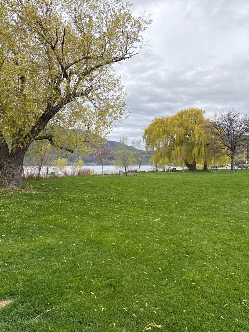 walking near me in Sutherland Bay Park in spring