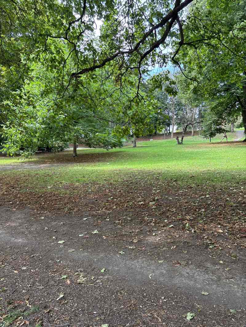 walking near me in St. Hanshaugen in autumn