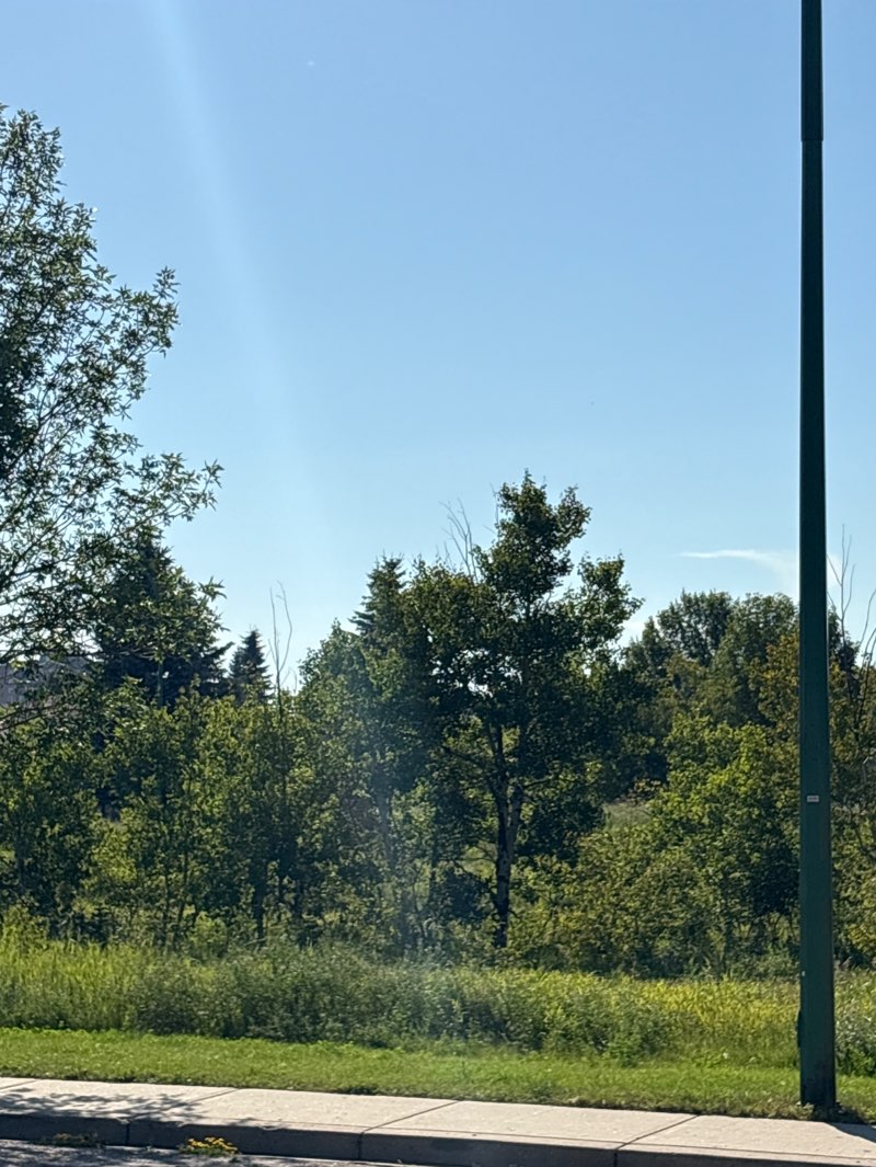 walking near me in Heritage Park in autumn