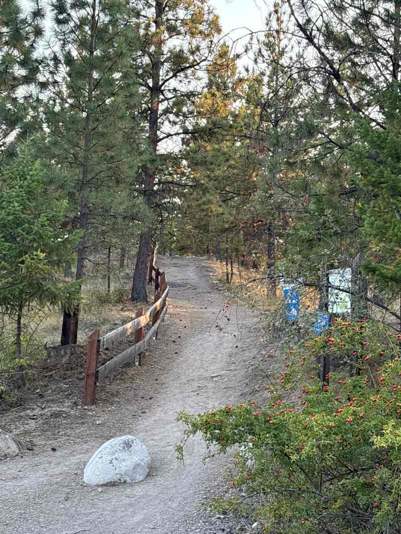 walking near me in Knox Mountain Park in autumn