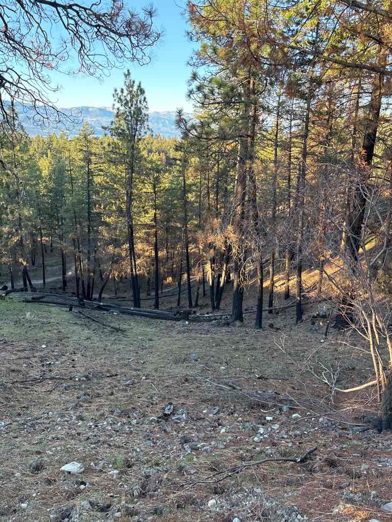 walking near me in Knox Mountain Park in spring