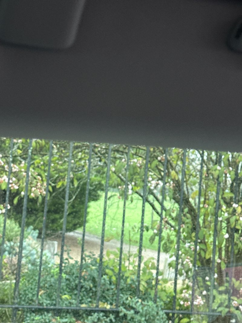 walking near me in Redhill Memorial Park in autumn