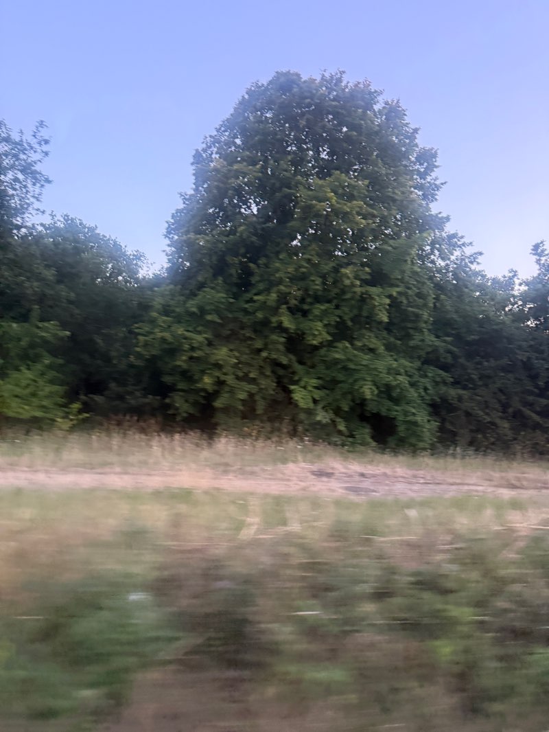 walking near me in Mitcham Common in summer