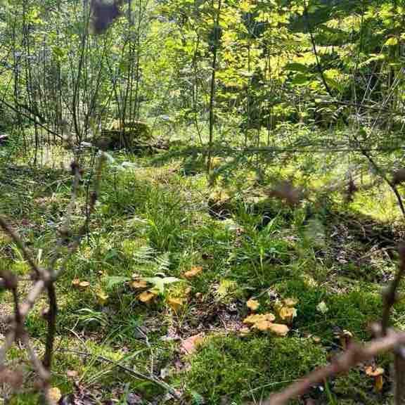 Оксана 🇷🇺 post 2